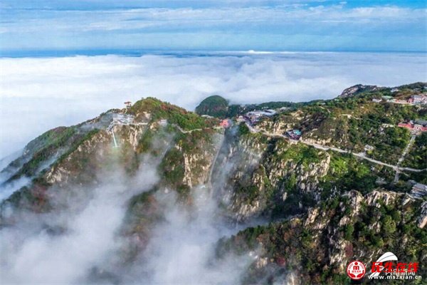 �����A̩ɽ����(gu��)̩�񰲡����}�zӰ�cý�w������ِ�����_(k��i)